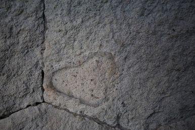 ⛩️ 무사시 신사(무사시 진자) 이미지 7